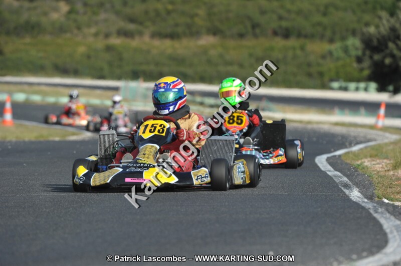 DSC (4022).JPG